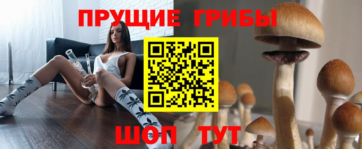 Псилоцибиновые грибы MAGIC MUSHROOMS  Вход с VPN  Геленджик 